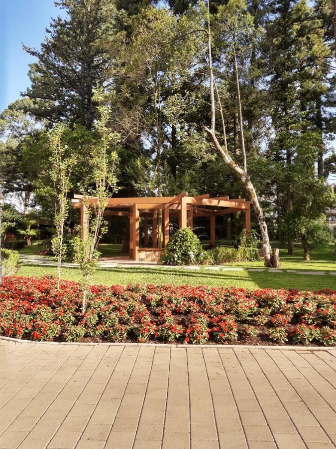 Morada Herz 316 Gramado Dış mekan fotoğraf